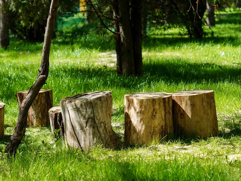 Cut Price Tree Service | Servicing Bankstown, Canterbury, Fairfield, Liverpool, Parramatta, Homebush Villawood, Guildford, Granville, Lidcombe, Merrylands, Auburn, Greystanes Cabramatta, Yagoona, Greenacre, Revesby, Strathfield, Milperra, 12 Badger Ave, Sefton NSW 2162, Australia | Phone: 0405 647 163