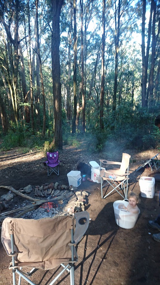 Turpentine Camping Area | Abbotts Falls Walking Trail, Martinsville NSW 2265, Australia