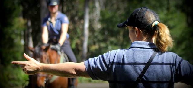 Allison Wright Equestrian | 475 Raaen Rd, Bracalba QLD 4512, Australia | Phone: 0468 585 529
