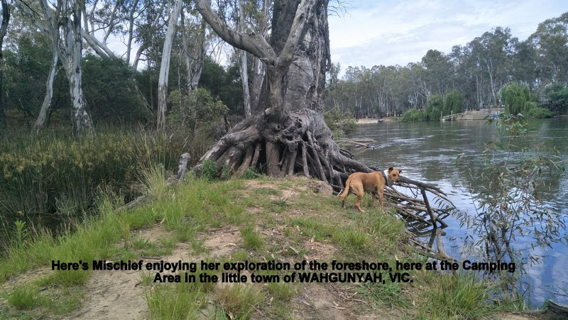 The Willows Reserve | Wahgunyah VIC 3687, Australia