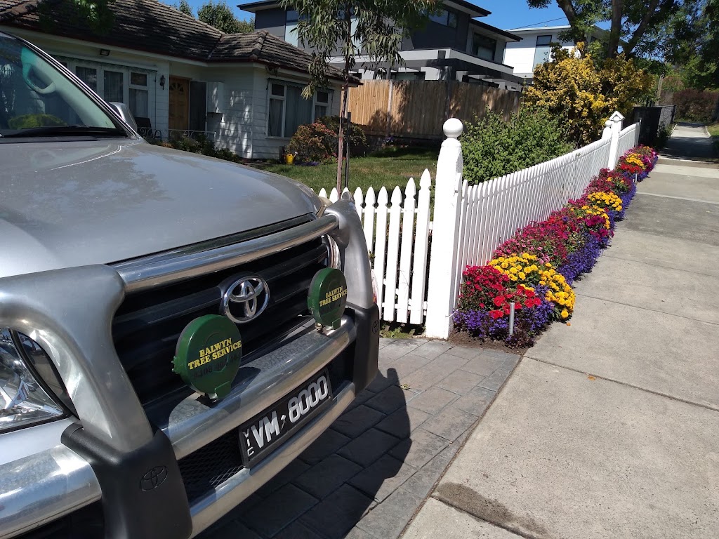 Balwyn Tree Service | 2 Oravel St, Balwyn North VIC 3104, Australia | Phone: (03) 8508 9040