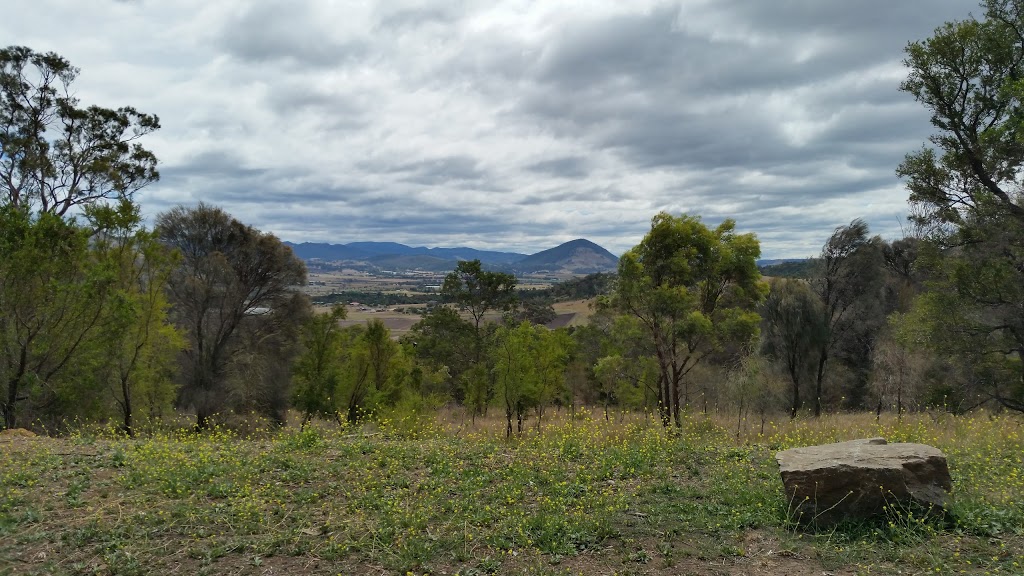 Brinktop Bushland Reserve | park | 229 Brinktop Rd Richmond TAS 7025 Brinktop Rd, Richmond TAS 7025, Australia