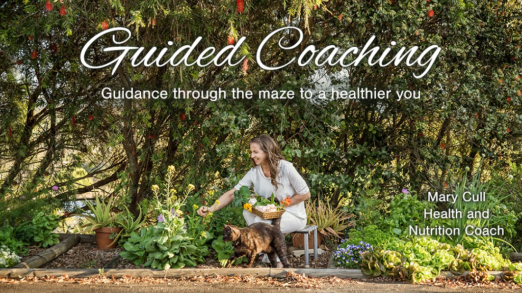 Guided Coaching | 2 Bath Rd, Canina QLD 4570, Australia | Phone: 0438 833 586