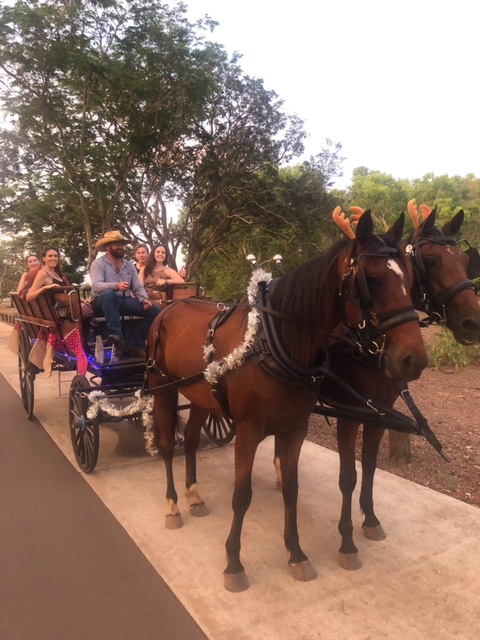 Darwin Horse and Carriage | travel agency | Alec Fong Lim Dr, Fannie Bay NT 0820, Australia | 0427651440 OR +61 427 651 440