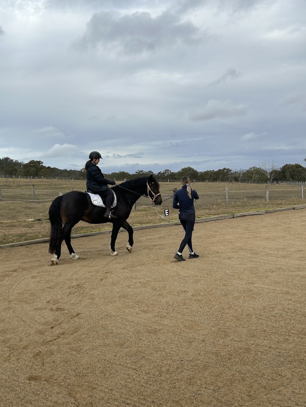 Equi-Guard | 300 Dixons Ln, Ramsay QLD 4358, Australia | Phone: 0488 787 616 Equi-Guard | 300 Dixons Ln, Ramsay QLD 4358, Australia | Phone: 0488 787 616