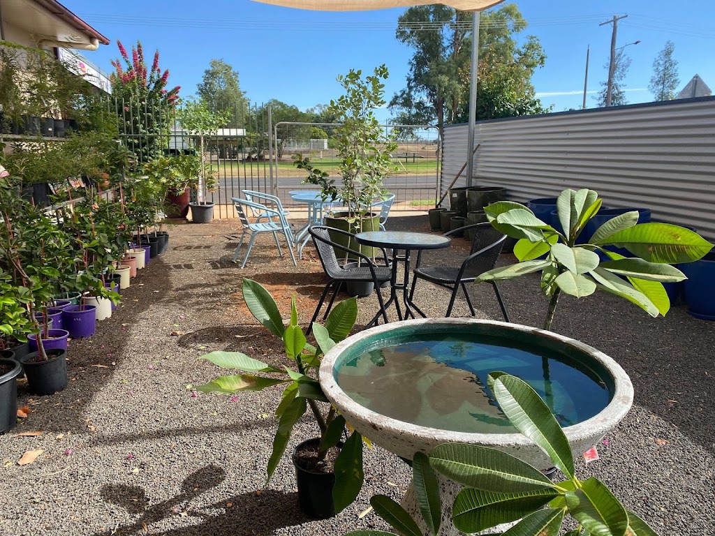 Morven Cafe | 68 Albert St, Morven QLD 4468, Australia | Phone: (07) 4654 8047