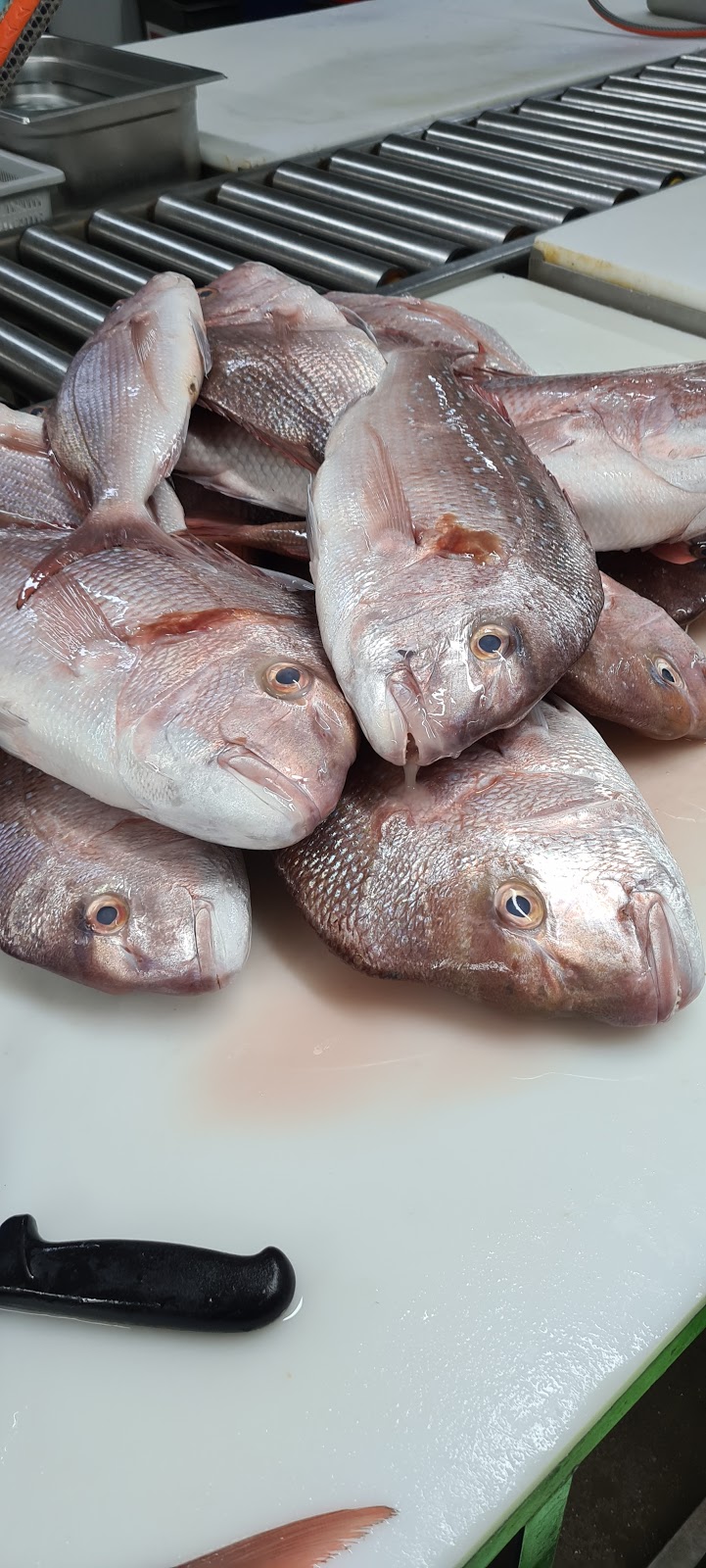 COASTAL FISHERIES PTY LTD | food | 488 Marmion St, Myaree WA 6154, Australia | 0893303985 OR +61 8 9330 3985