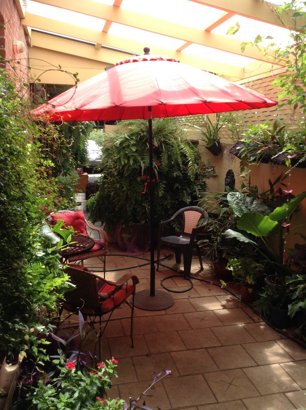 Vertical Gardens@ectoplasm | 10 Penzance St, Glenelg SA 5045, Australia | Phone: 0448 789 793