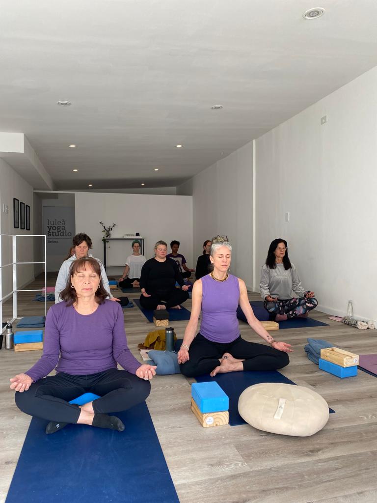 YOGA WITH CLARI | 129 Whale Beach Rd, Avalon Beach NSW 2107, Australia | Phone: 011 15-6890-3351