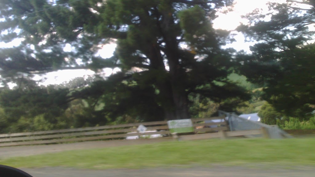 Timbertop Advanced Trees | 311 Belgrave-Gembrook Rd, Gembrook VIC 3783, Australia | Phone: (03) 5968 1760
