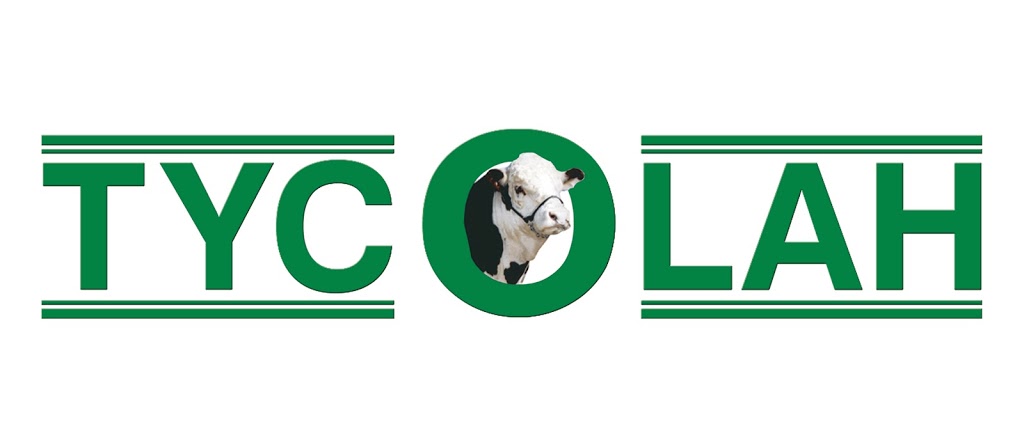 Tycolah Poll Herefords | 104 Horton Rd, Cobbadah NSW 2347, Australia | Phone: (02) 6783 2278