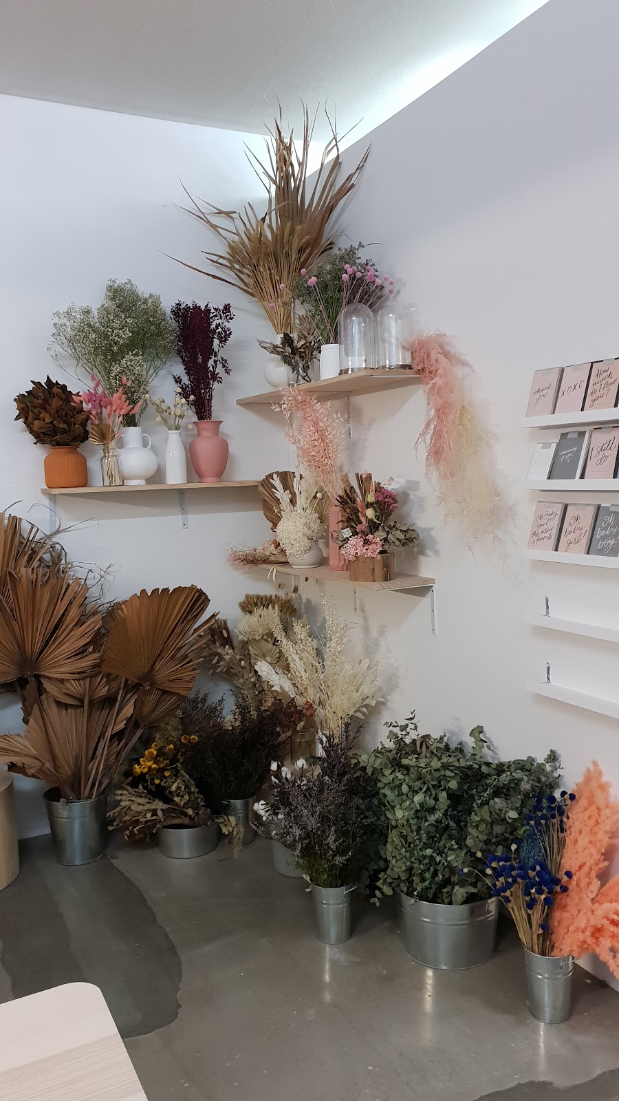 Flowers by Fillery | shop 3/15 Wallis St, Forster NSW 2428, Australia | Phone: 0423 523 716