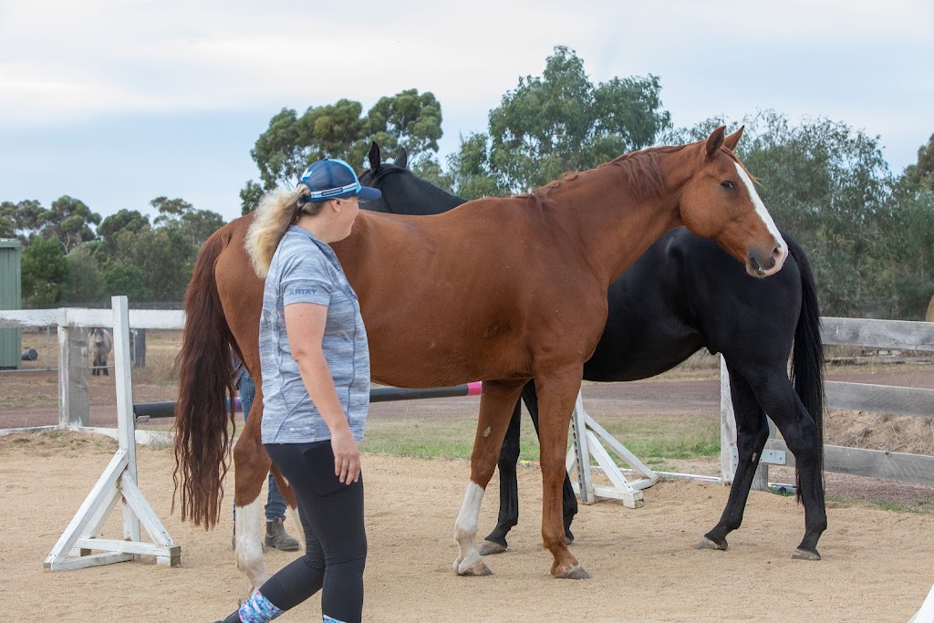 EQ Leaders | 84 Flinders St, Little River VIC 3211, Australia | Phone: 0421 572 047