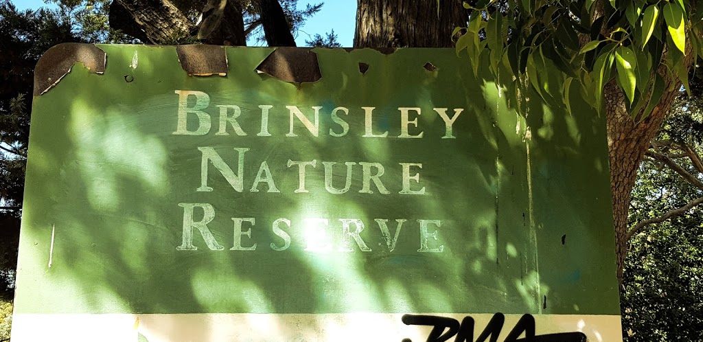Brinsley Reserve | park | Brinsley Rd, Camberwell VIC 3124, Australia