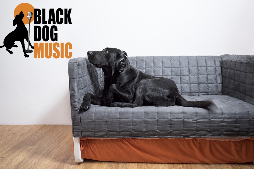 Black Dog Music | electronics store | 6/1 Dayboro Rd, Petrie QLD 4502, Australia | 0412382602 OR +61 412 382 602
