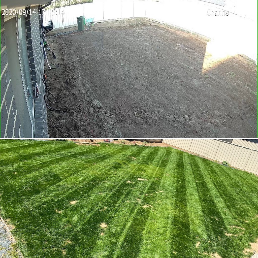 Mikeys Lawn Care | Solar Bvd, Kyabram VIC 3620, Australia | Phone: 0427 778 797