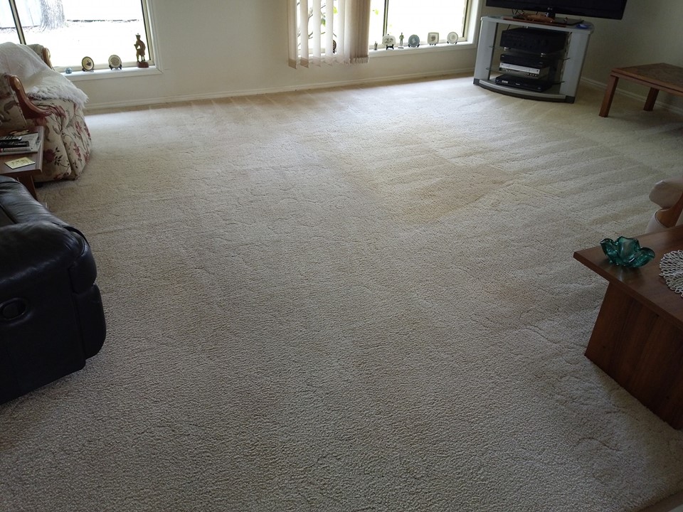 Treetops Carpet Cleaning | 270 Upper Landershute Rd, Palmwoods QLD 4555, Australia | Phone: 0434 298 498