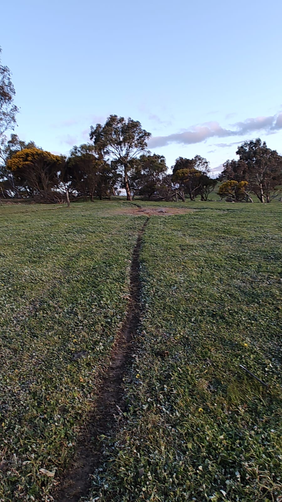 Ridgestone Retreat | Brinkworth Rd, Tungkillo SA 5236, Australia | Phone: 0437 654 453