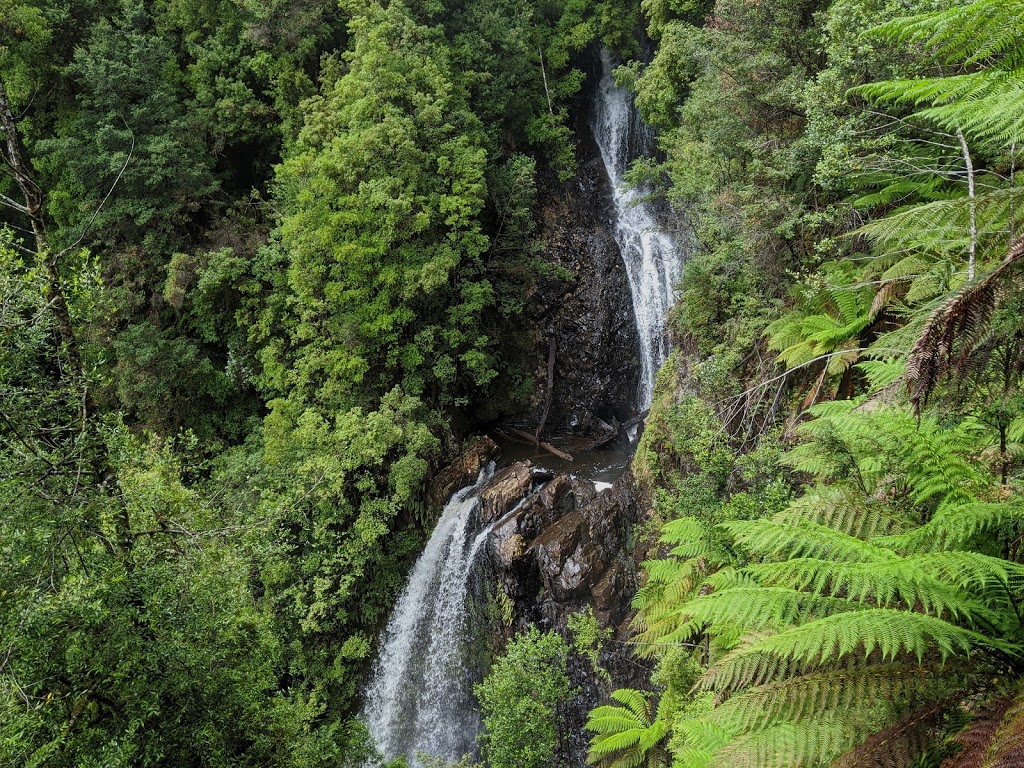 Philosopher Falls | park | Butlers Rd, Waratah TAS 7321, Australia