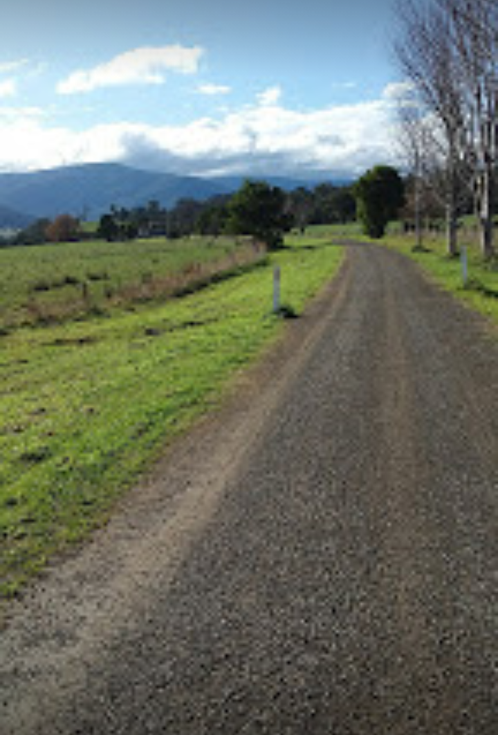 Sunrise dog walks | Warburton Rail Trail, Woori Yallock VIC 3139, Australia | Phone: (03) 5964 6757