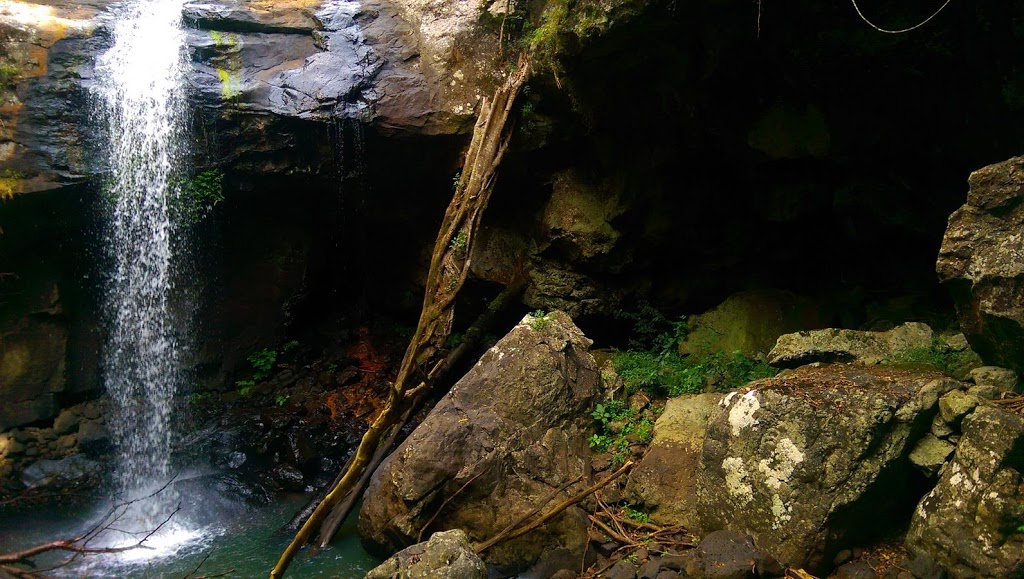 Cavern Falls | park | Beechmont QLD 4211, Australia