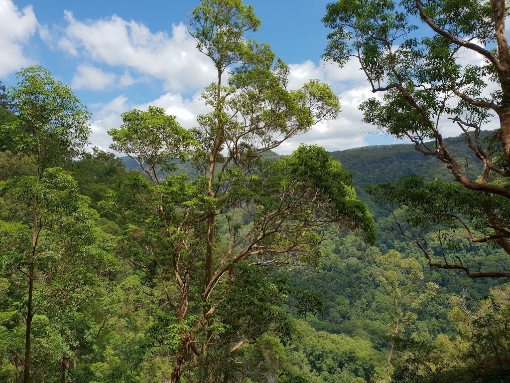 Lamington National Park - Binna Burra Section | park | Binna Burra Rd, Binna Burra QLD 4211, Australia