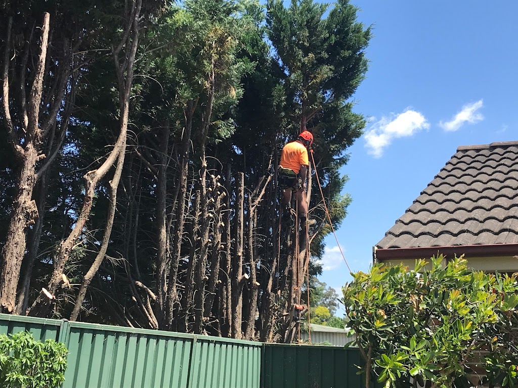 NORTHWEST TREE SERVICES | Servicing Hawkesbury, Windsor, Richmond, Penrith, Blacktown, Jordan Springs McGraths Hill, Clarendon, Box Hill, Pitt Town, Freemans Reach, Emu Plains, 2, Heather Pl, Wilberforce NSW 2756, Australia | Phone: 0404 486 477