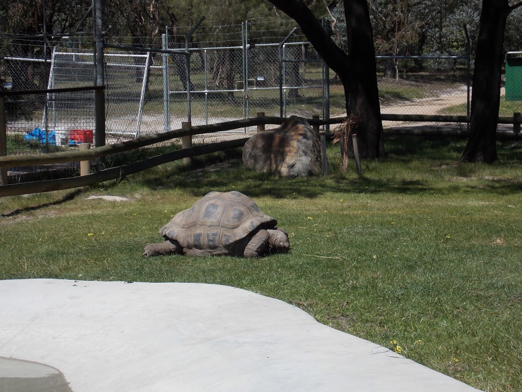 Wildlife Park | Ballarat East VIC 3350, Australia