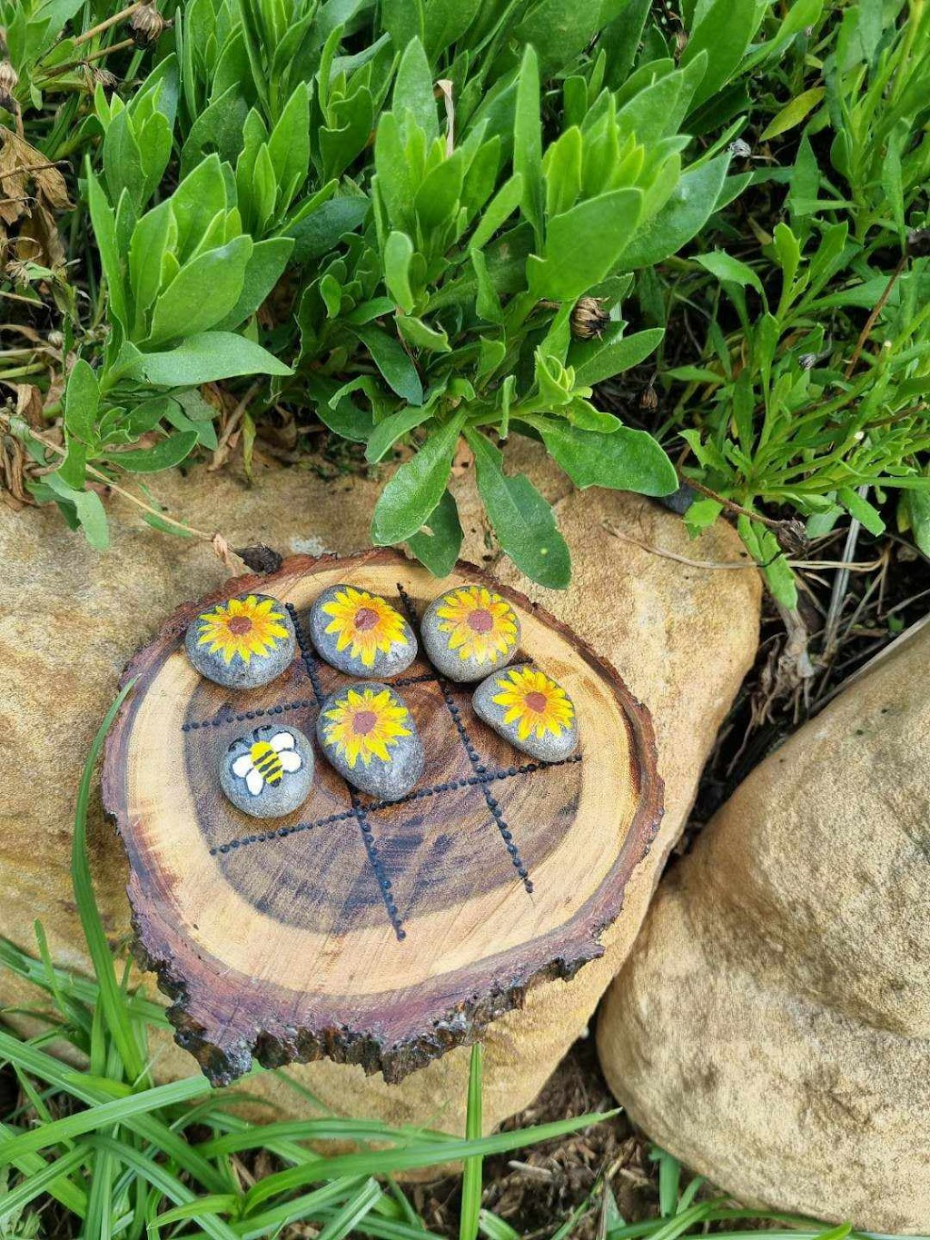 Four Bees in a Pod | Gatton QLD 4343, Australia | Phone: 0481 385 055