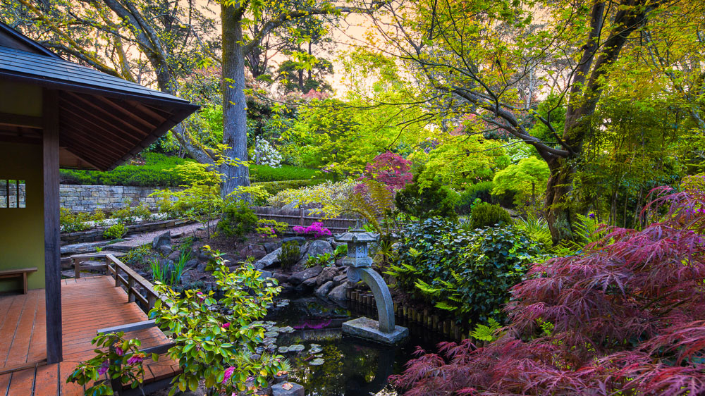 FUMIO UEDA + SHINYA UEDA Japanese gardeners | general contractor | 274 Longwood Rd, Longwood SA 5153, Australia | 0431025422 OR +61 431 025 422