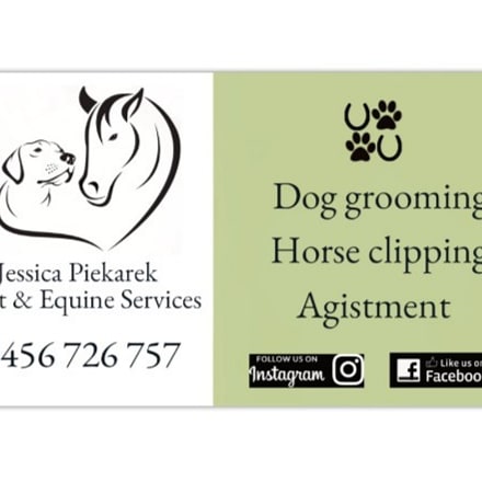 JP Dog Grooming Services | 245 Boallia Rd, Ambergate WA 6280, Australia | Phone: 0456 726 757