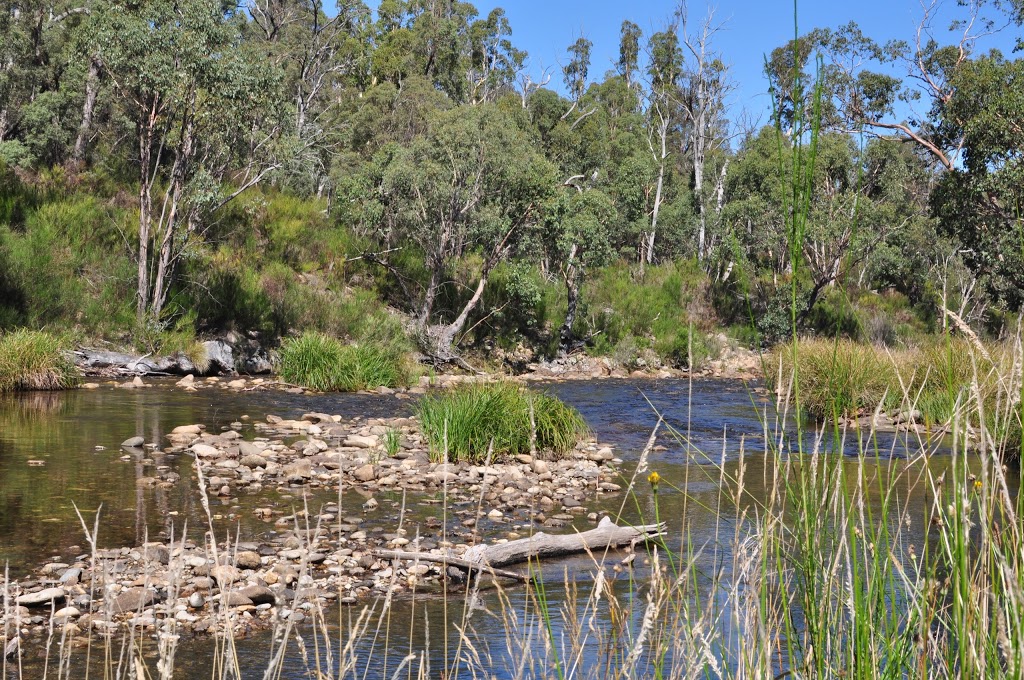 Middle Creek Camping Area | 2 Omeo Hwy, Little River VIC 3211, Australia