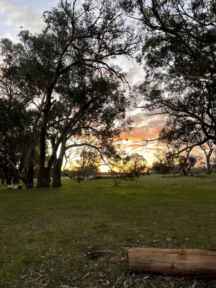 Gums n Gully Farmstay | campground | 788 Nabaroo Rd, Cowalla WA 6503, Australia | 0429861129 OR +61 429 861 129