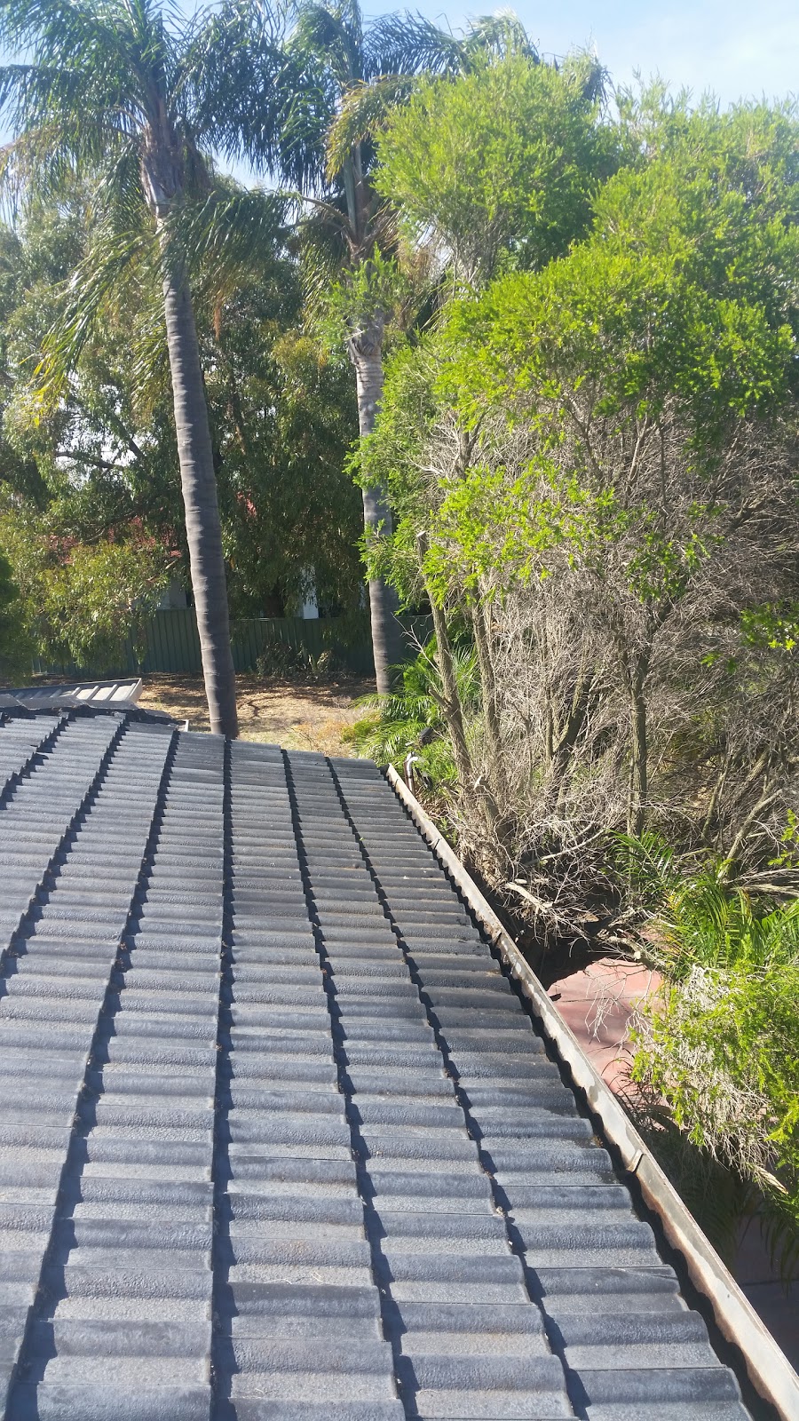 Wholistic Gutter Cleaning & Roof Maintenance | roofing contractor | 76 Hale Rd, Wembley Downs WA 6019, Australia | 0406792330 OR +61 406 792 330