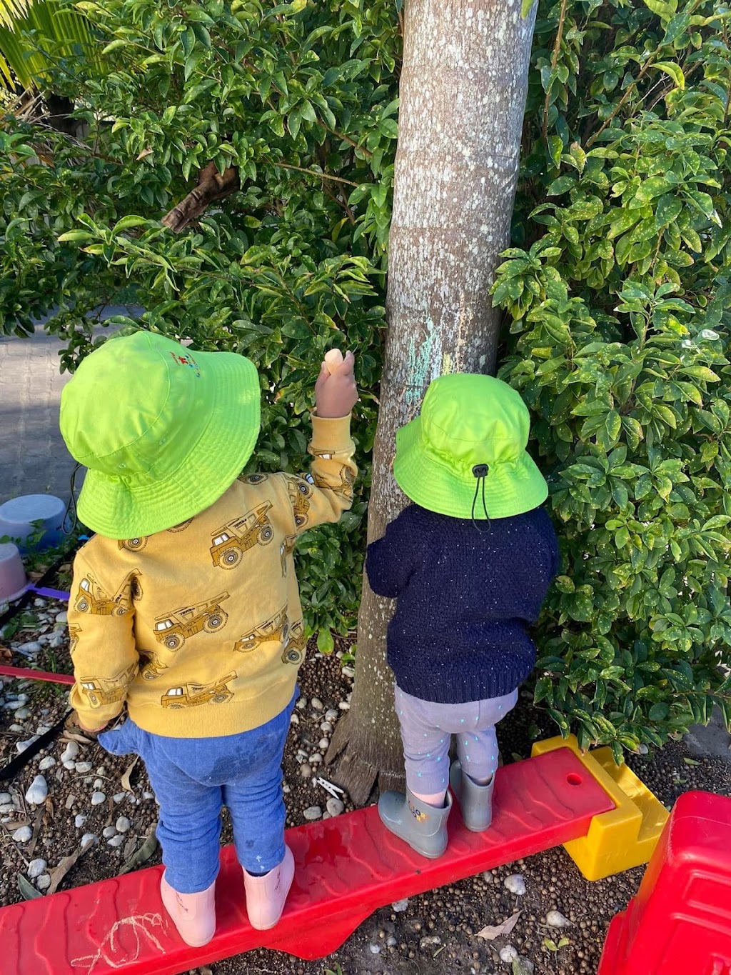 Little Creatures Family Day Care | 31 Gan Gan Rd, Anna Bay NSW 2316, Australia | Phone: 0439 589 966