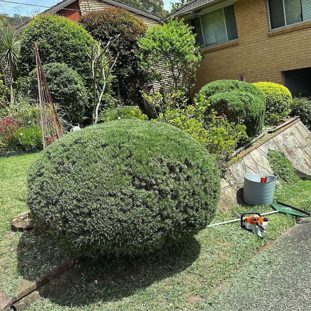SprucedUP Lawns and Gardens | 252 Lakedge Ave, Berkeley Vale NSW 2261, Australia | Phone: 0402 858 349