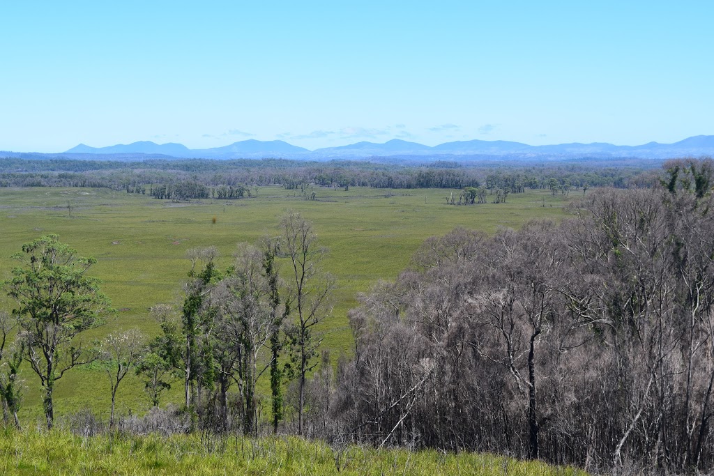 Milkshake Hills Forest Reserve | West Coast TAS 7321, Australia