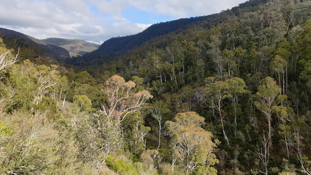 South Glory Cave | tourist attraction | Castle Walk, Yarrangobilly NSW 2720, Australia | 0264549597 OR +61 2 6454 9597