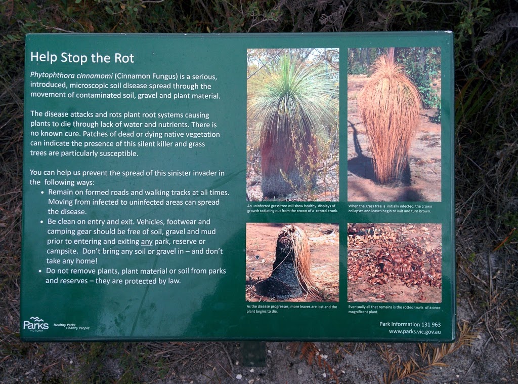 Lilly Pilly Gully Car Park | Wilsons Promontory Rd, Wilsons Promontory VIC 3960, Australia | Phone: 13 19 63