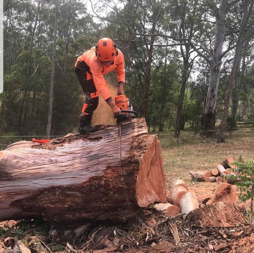 Touchwood Tree Services | Tree Removal Newcastle |  | 21 Gray St, Swansea NSW 2281, Australia | 0430878443 OR +61 430 878 443