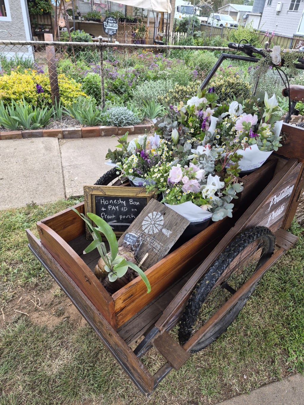 Dragonfly Designs flower cart & plant stall | 64 Mayne St, Gulgong NSW 2852, Australia | Phone: 0401 381 918