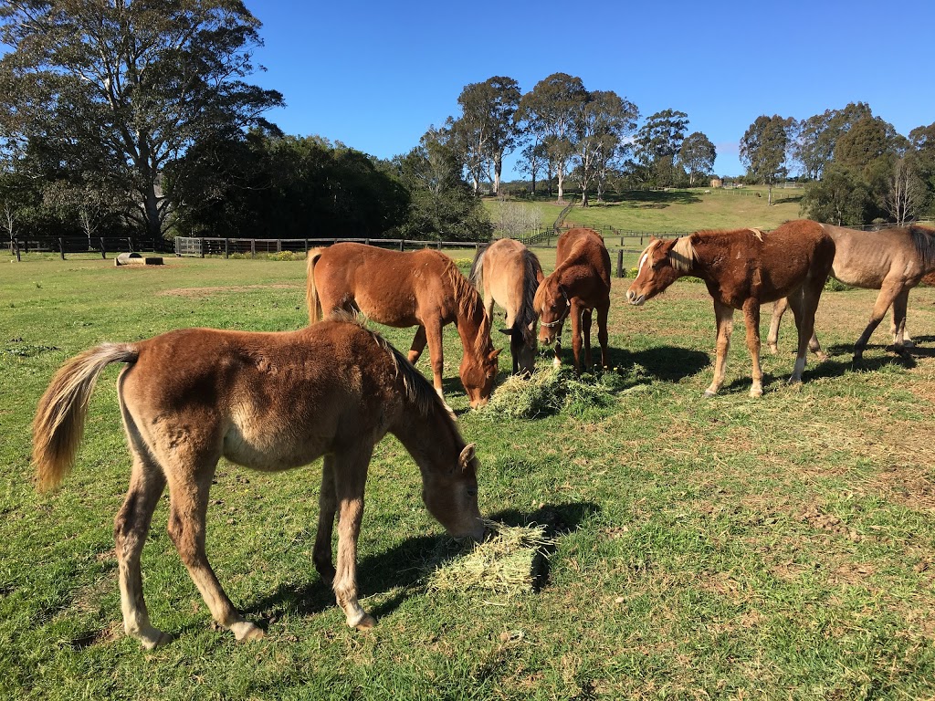 Yarramlong Valley Horse Farm Stay | 267 Yarramalong Rd, Wyong Creek NSW 2259, Australia