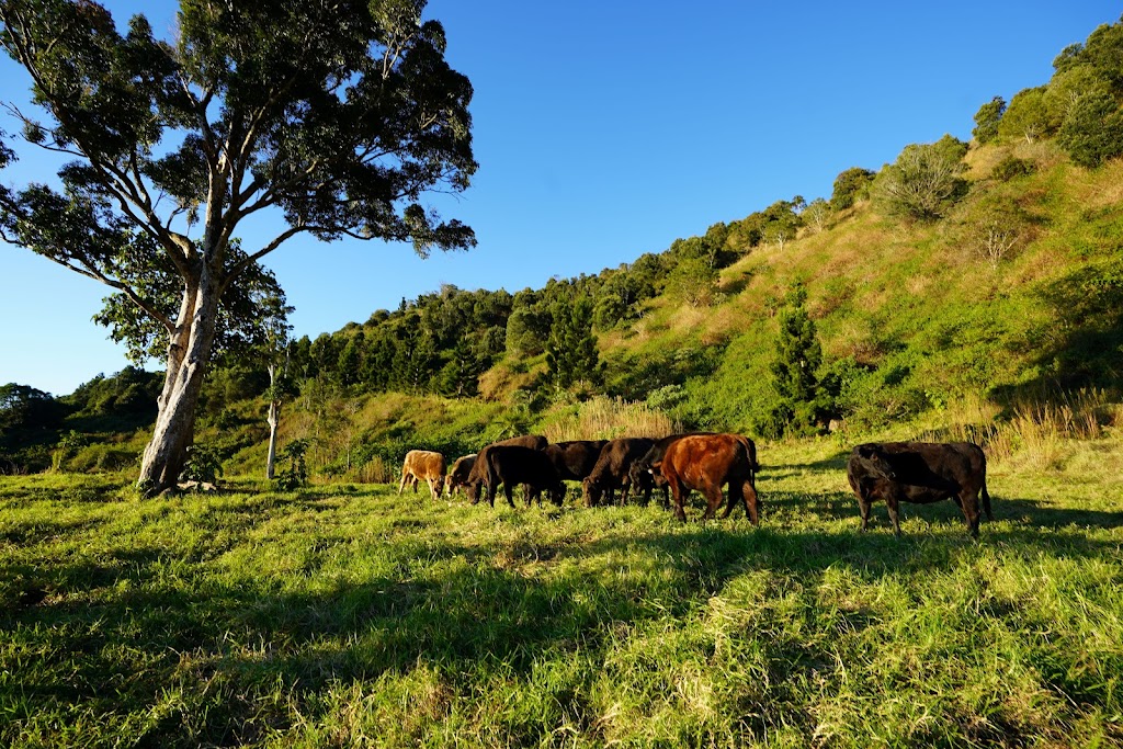 The Wagon Stop Wellness Farm | 1320 Beechmont Rd, Beechmont QLD 4211, Australia | Phone: 0468 948 447