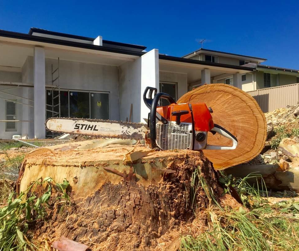 Mtr tree lopping and garden care | 10 Frederick Ave, Granville NSW 2142, Australia | Phone: 0406 777 818
