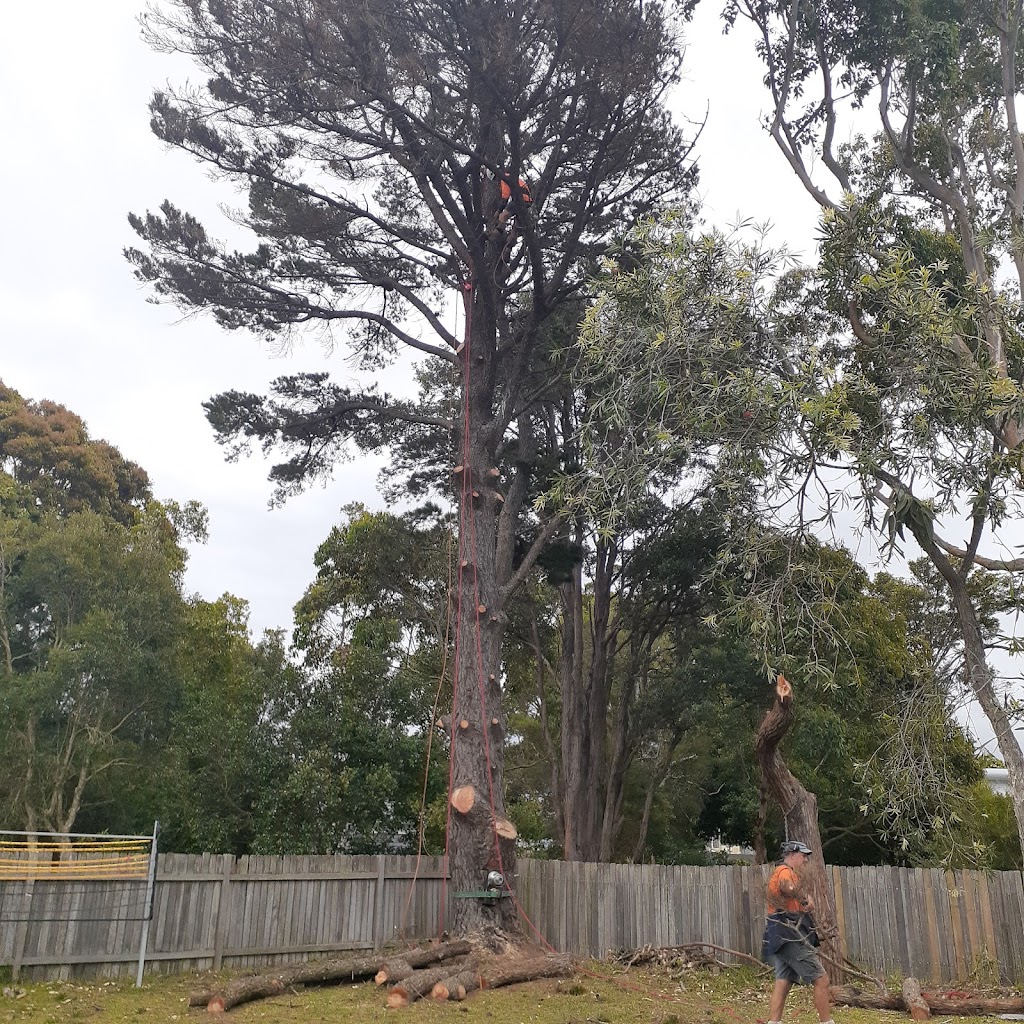 Bay and basin tree service | 3 Maxwell Cres, Sanctuary Point NSW 2540, Australia | Phone: 0414 801 730