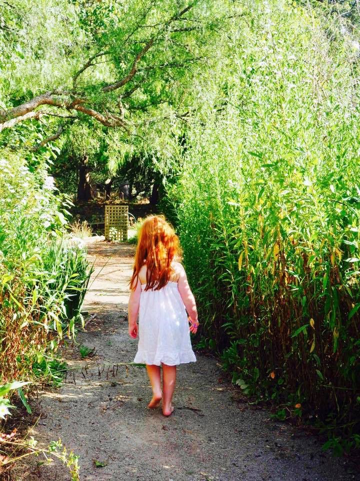 Butterfly Red Hill- Gallery & Gardens | 138 Arthurs Seat Rd, Red Hill VIC 3104, Australia | Phone: 0402 309 432