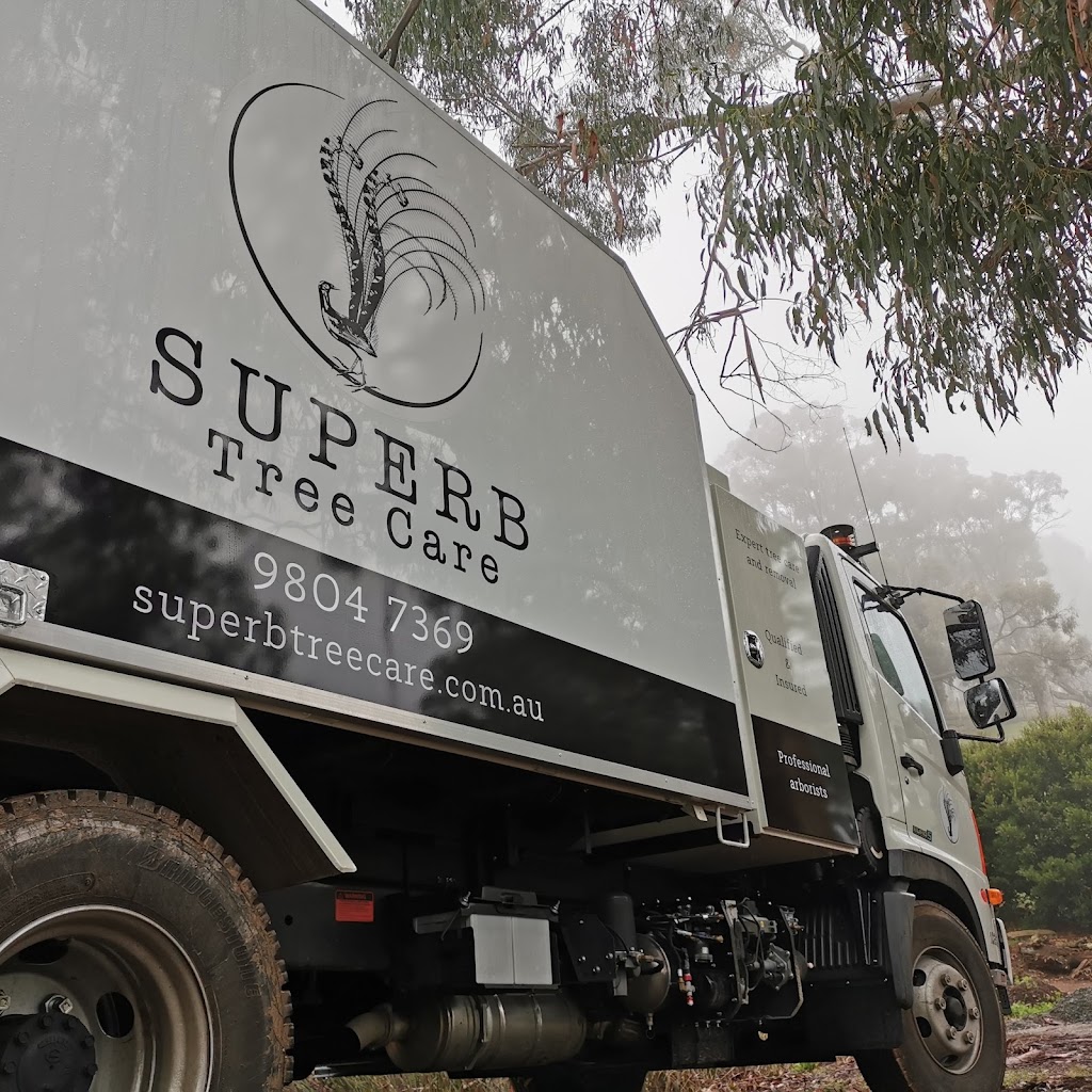 Superb Tree Care | 57 Kilvington Dr, Emerald VIC 3782, Australia | Phone: (03) 9804 7369