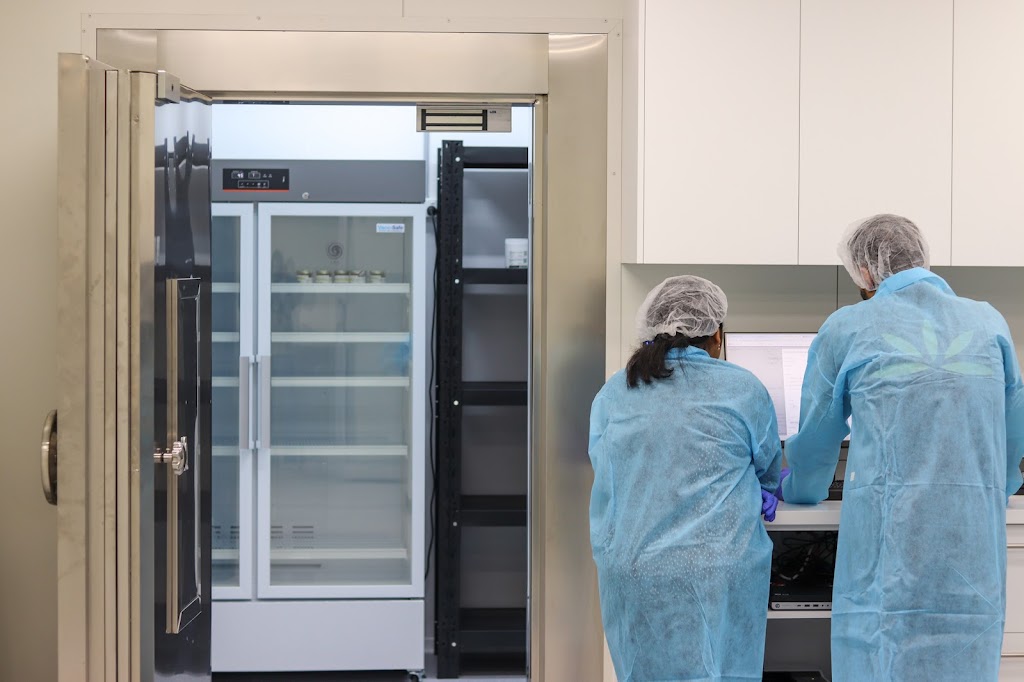 Cann Compounding Pharmacy Queensland | Unit 6/62 Ingleston Rd, Wakerley QLD 4154, Australia | Phone: (07) 3505 5999