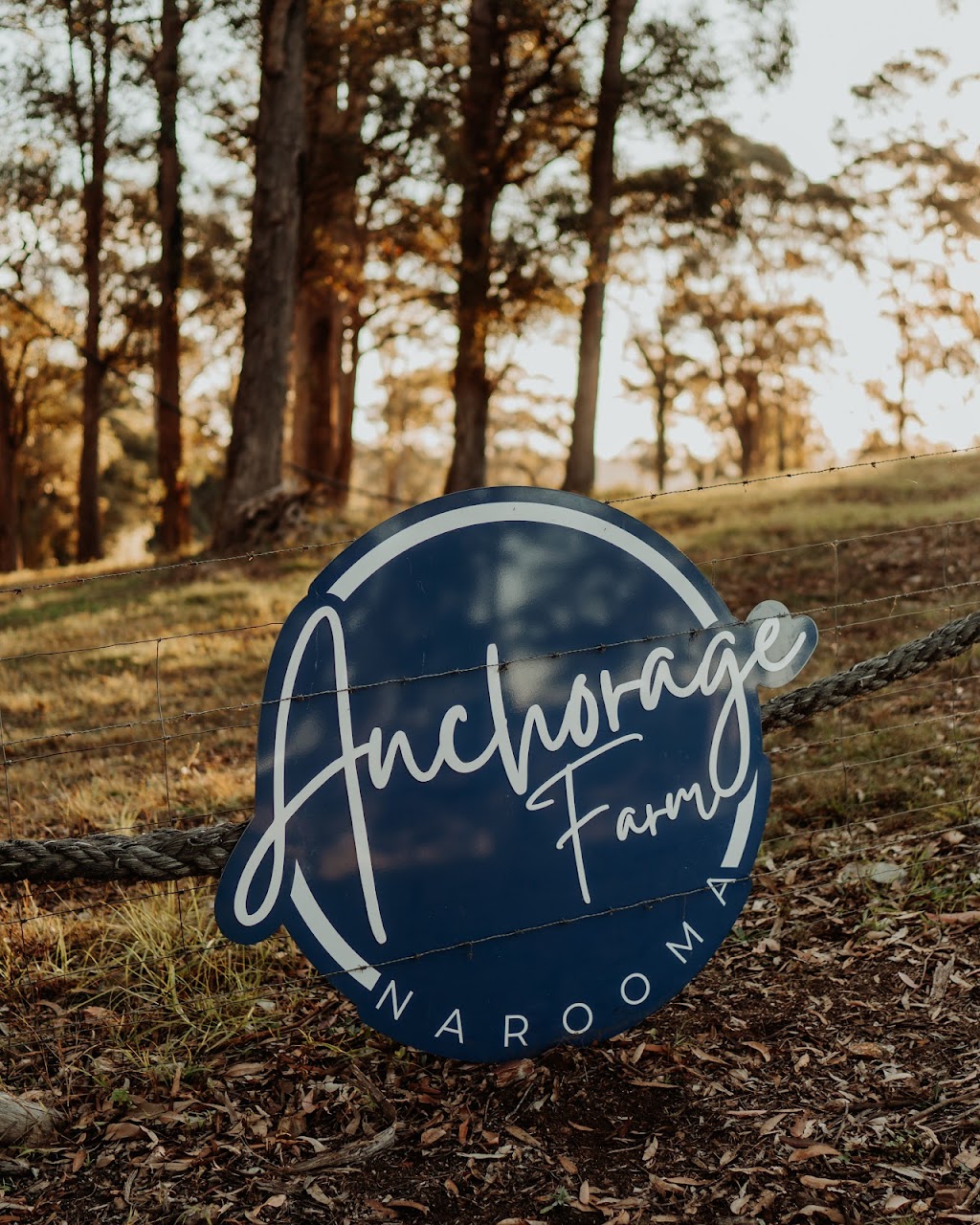 Anchorage Farm Narooma | 360 Riverview Rd, North Narooma NSW 2546, Australia | Phone: 0450 332 794