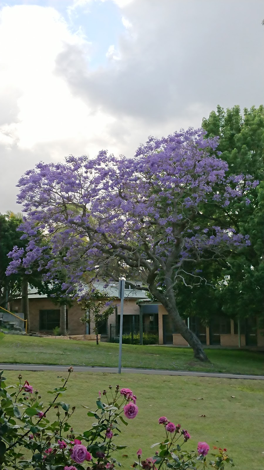 The Rose Garden | 5 Loyola Dr, Riverview NSW 2066, Australia